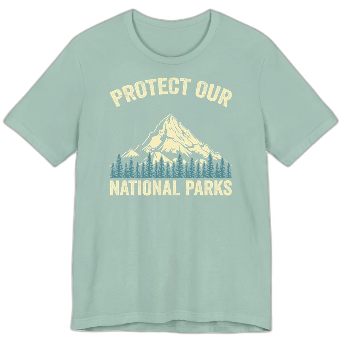 Vintage-style mountain illustration with 'Protect Our National Parks' text, featuring snow peak, forest silhouette, and sun rays in Dusty Blue