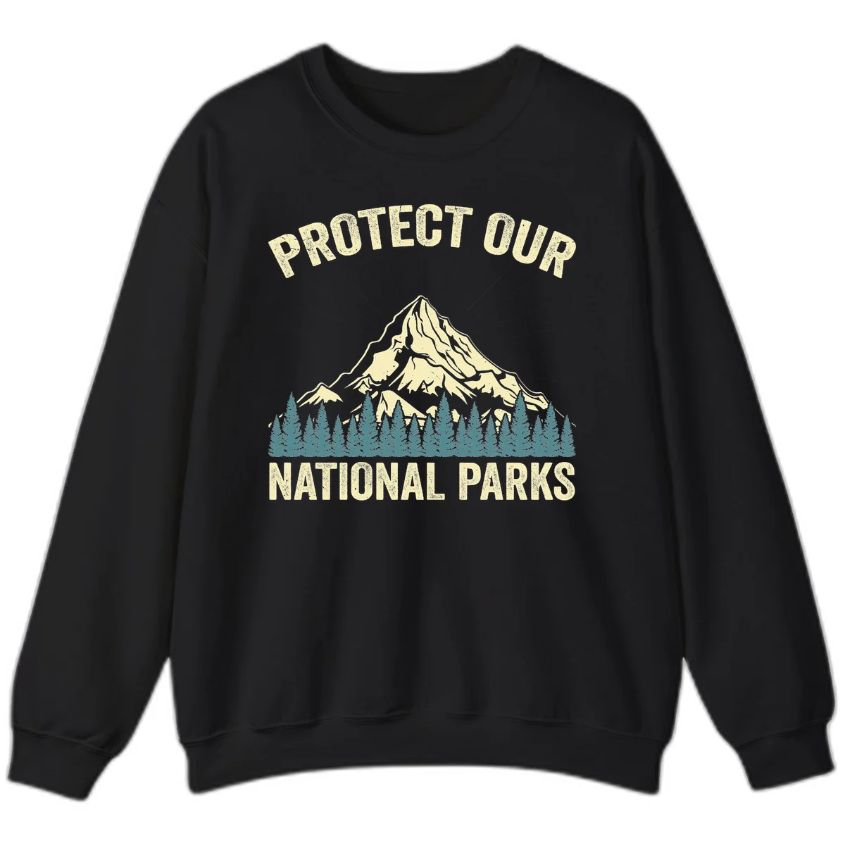 Vintage-style mountain illustration with 'Protect Our National Parks' text, featuring snow peak, forest silhouette, and sun rays in Black