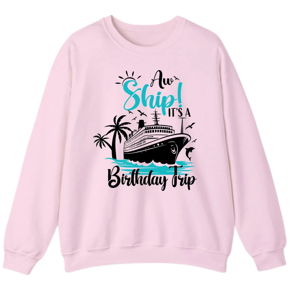 Aw Ship It's A Birthday Trip Sweatshirt in Light Pink