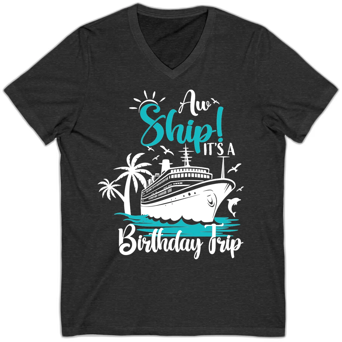 Aw Ship It's A Birthday Trip V-Neck Tee in Dark Grey Heather