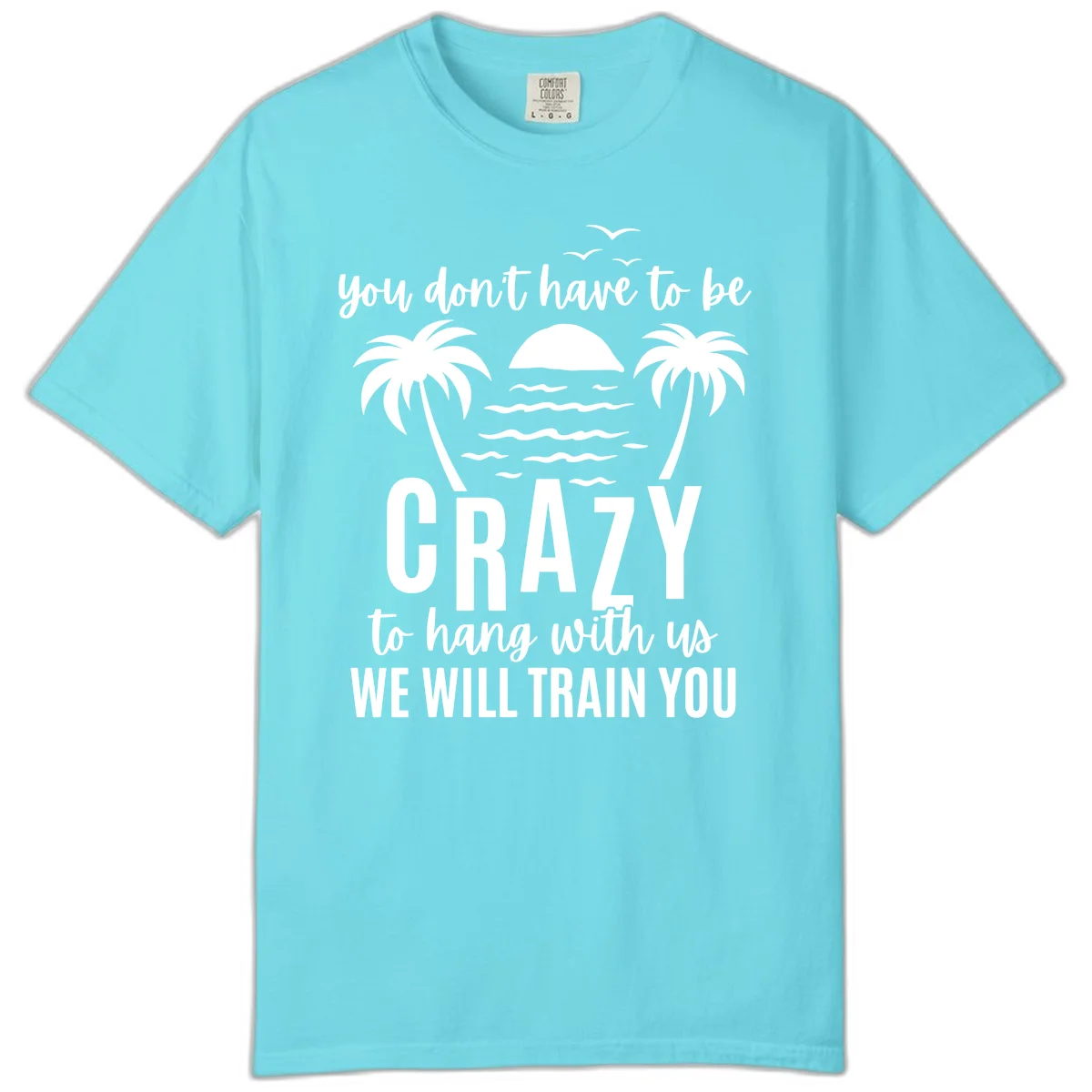 You Don't Have To Be Crazy To Hang With Us Comfort Color Tee in Lagoon Blue