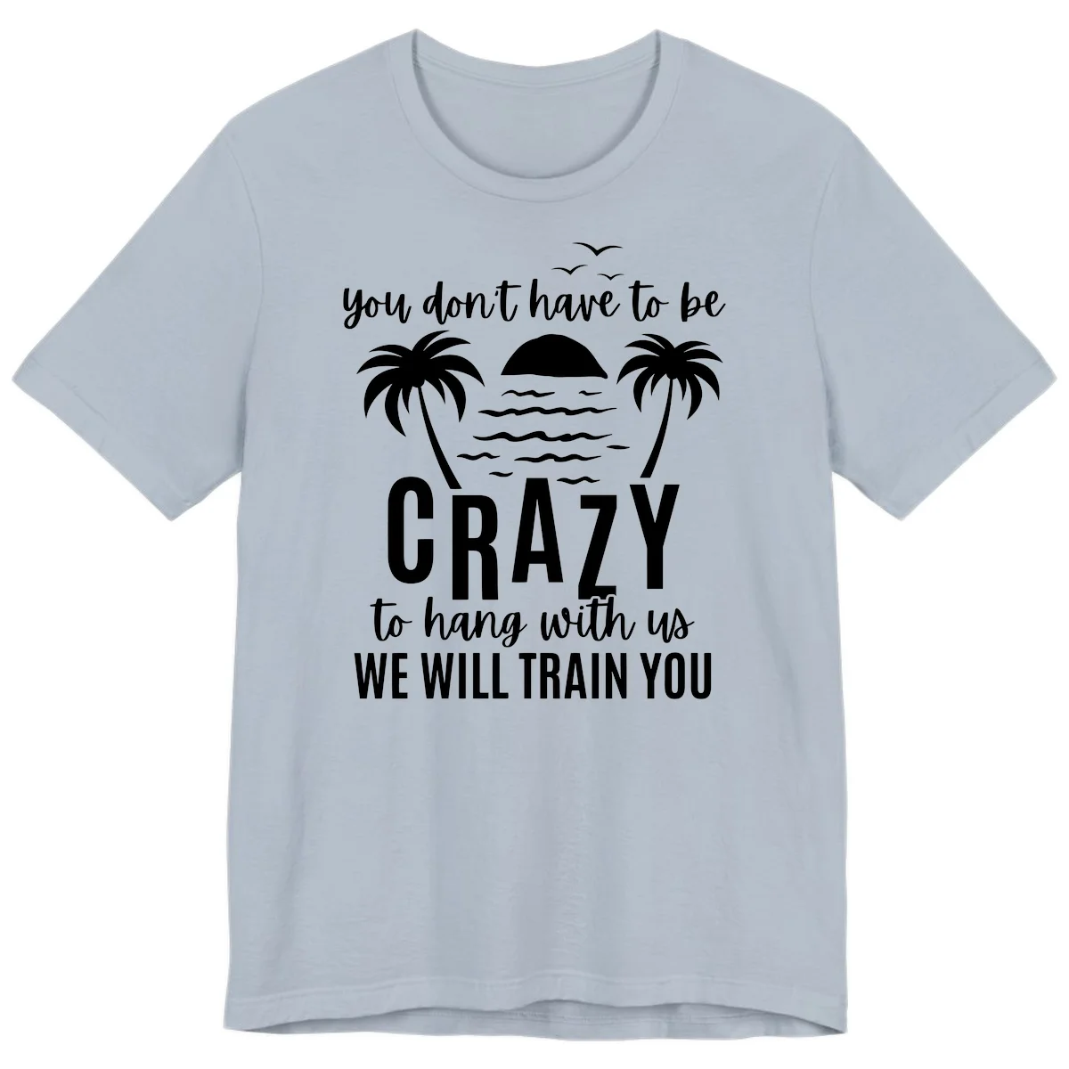 You Don't Have To Be Crazy To Hang With Us Premium T-Shirt in Light Blue