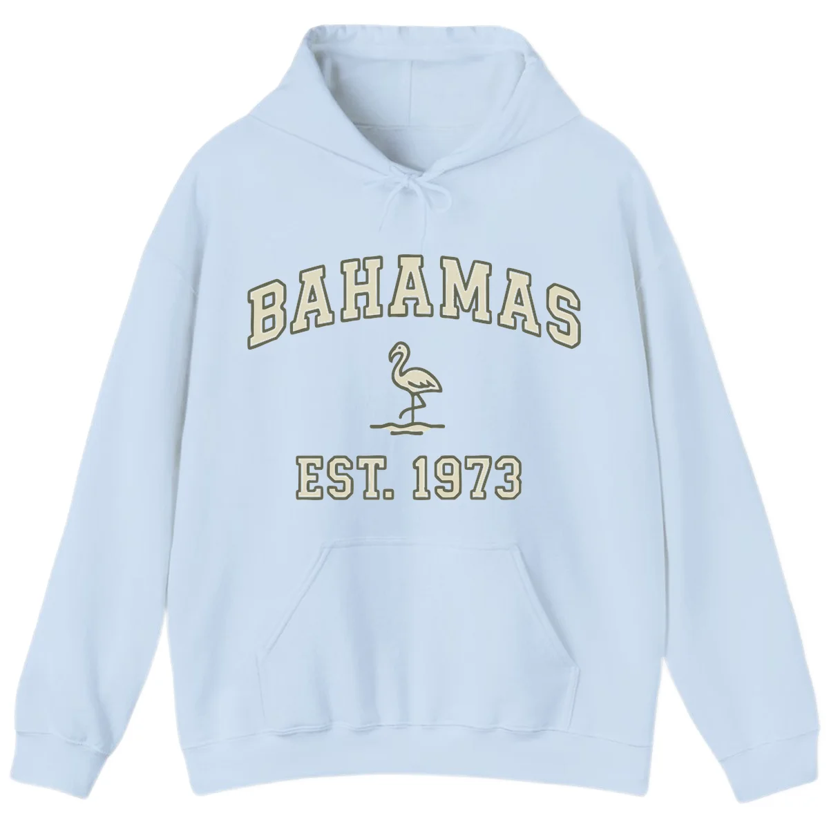 Bahamas Flamingo Established 1973 Hoodie in Light Blue