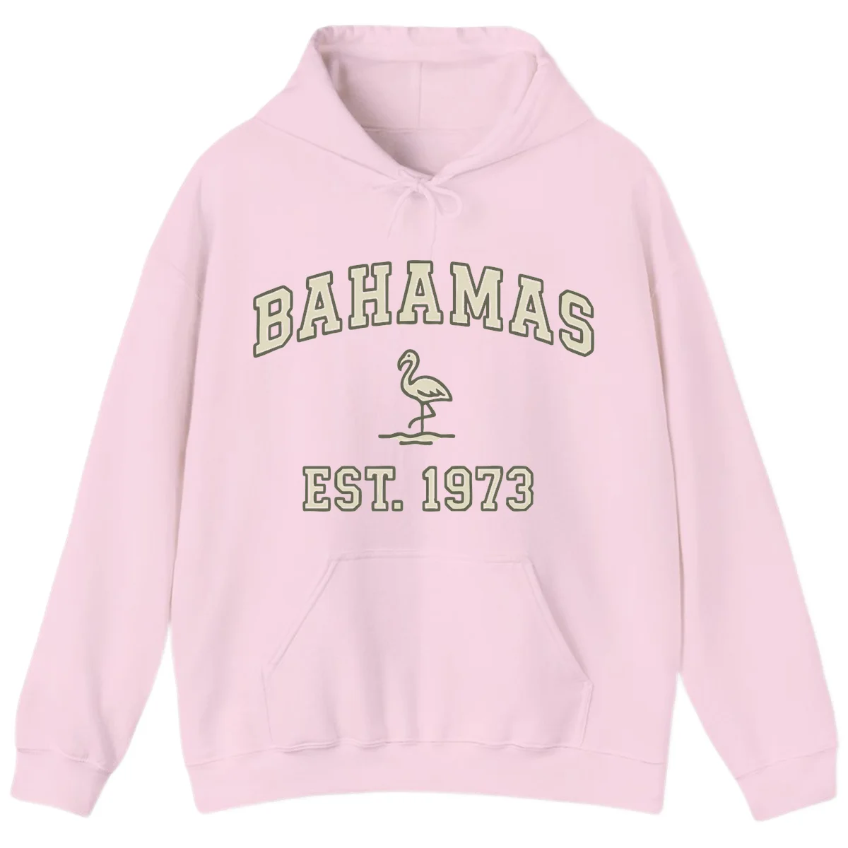 Bahamas Flamingo Established 1973 Hoodie in Light Pink