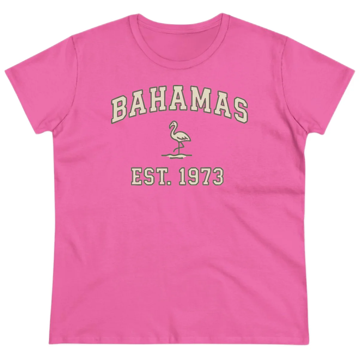 Bahamas Flamingo Established 1973 Ladies Tee in Azalea