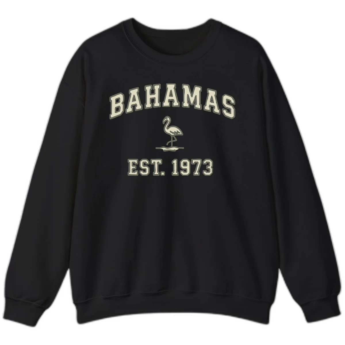 Bahamas Flamingo Established 1973 Sweatshirt in Black