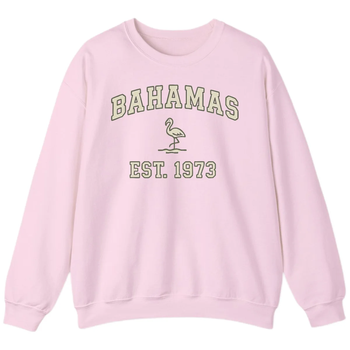 Bahamas Flamingo Established 1973 Sweatshirt in Light Pink