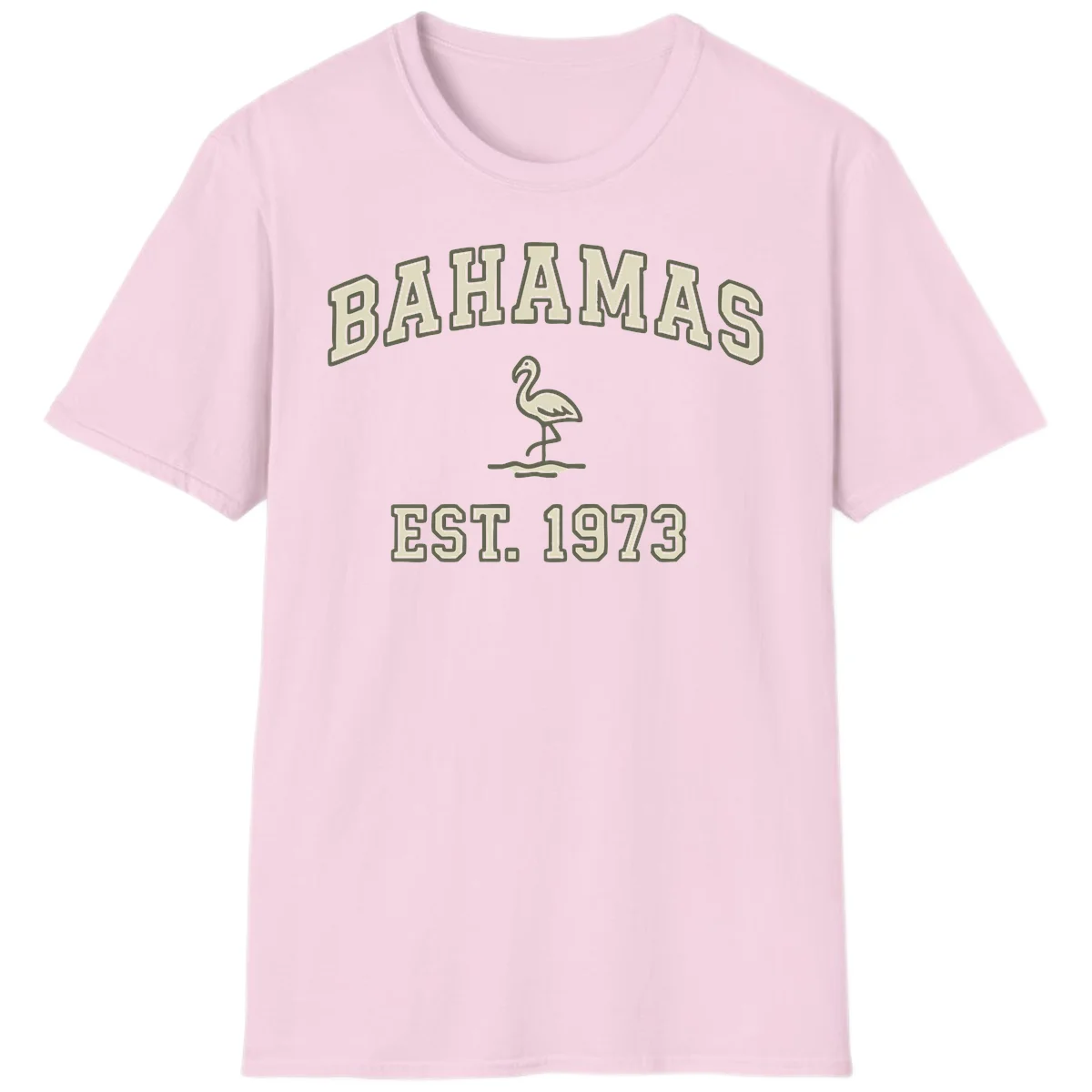 Bahamas Flamingo Established 1973 T-Shirt in Light Pink