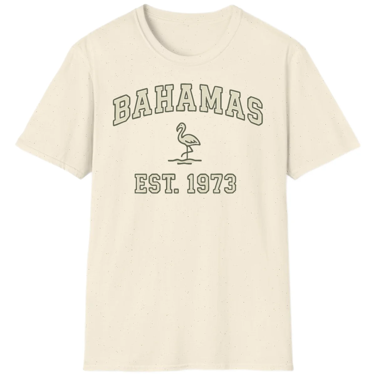 Bahamas Flamingo Established 1973 T-Shirt in Natural