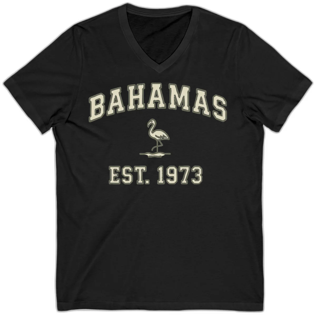 Bahamas Flamingo Established 1973 V-Neck in Black