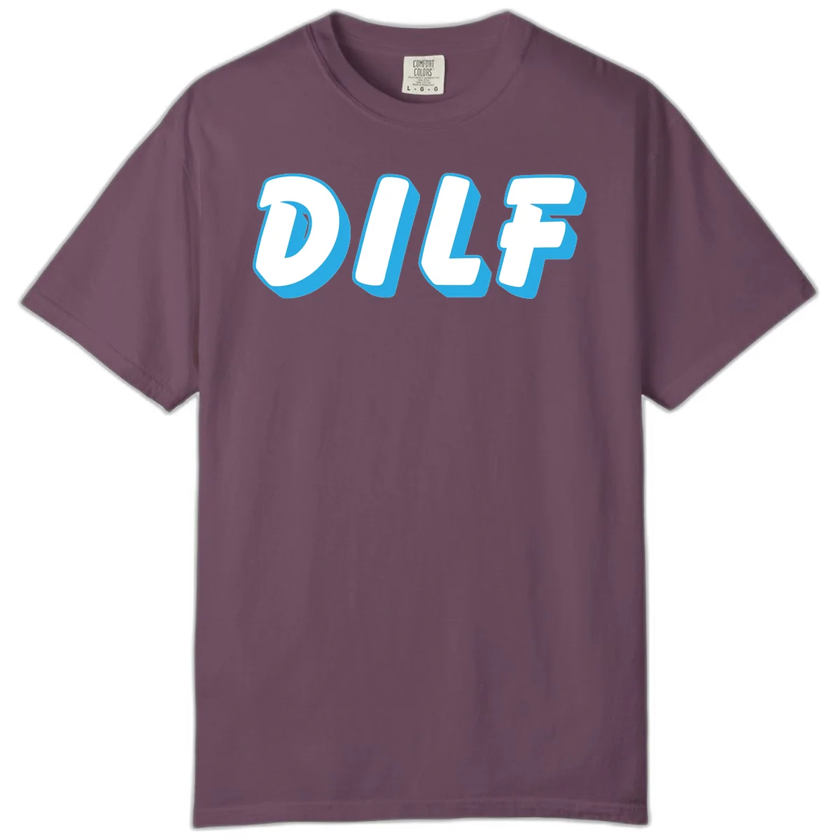 DLSF bold typography design with white letters and blue 3D shadow effect on gray background in Berry