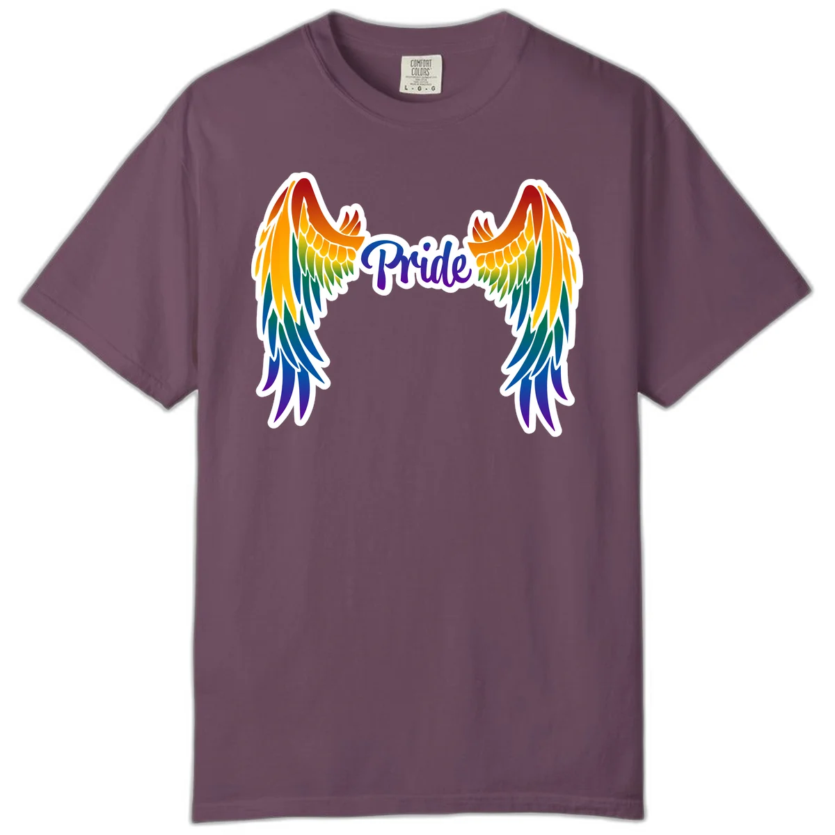 Rainbow gradient angel wings in red, orange, yellow, green, teal, blue, and purple with 'Pride' text in purple script in Berry
