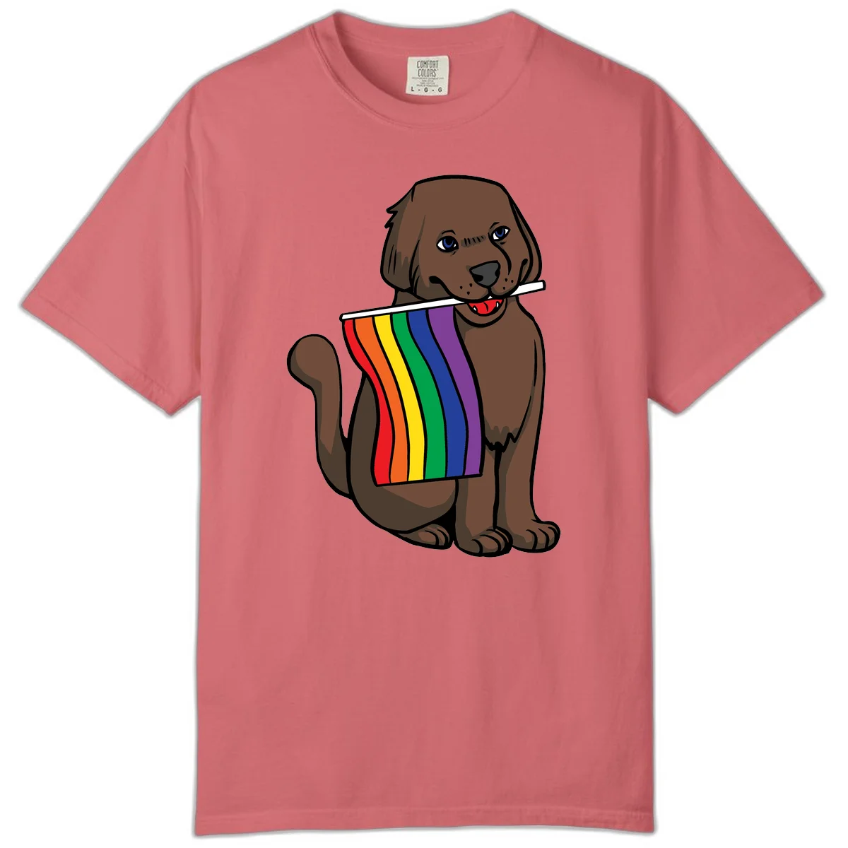 Brown dog holding rainbow pride flag with happy expression and blue eyes in Watermelon