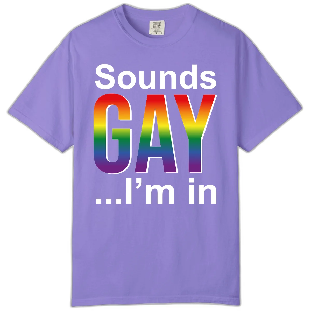 Sounds Gay I'm In design featuring large rainbow gradient letters spelling out the phrase against a gray background in Violet