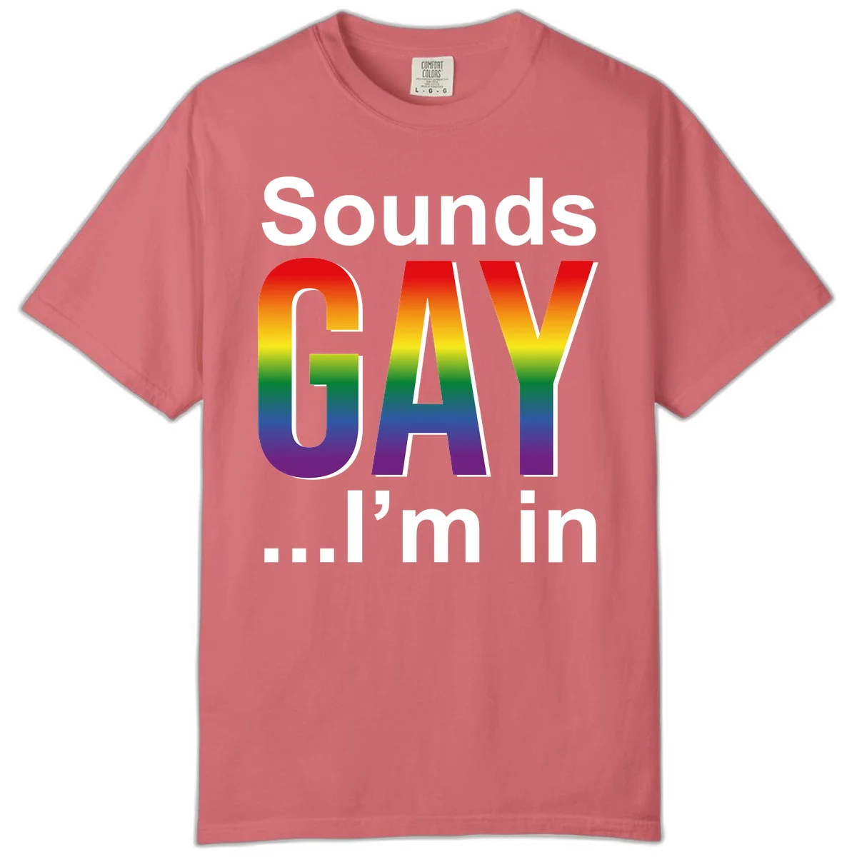 Sounds Gay I'm In design featuring large rainbow gradient letters spelling out the phrase against a gray background in Watermelon