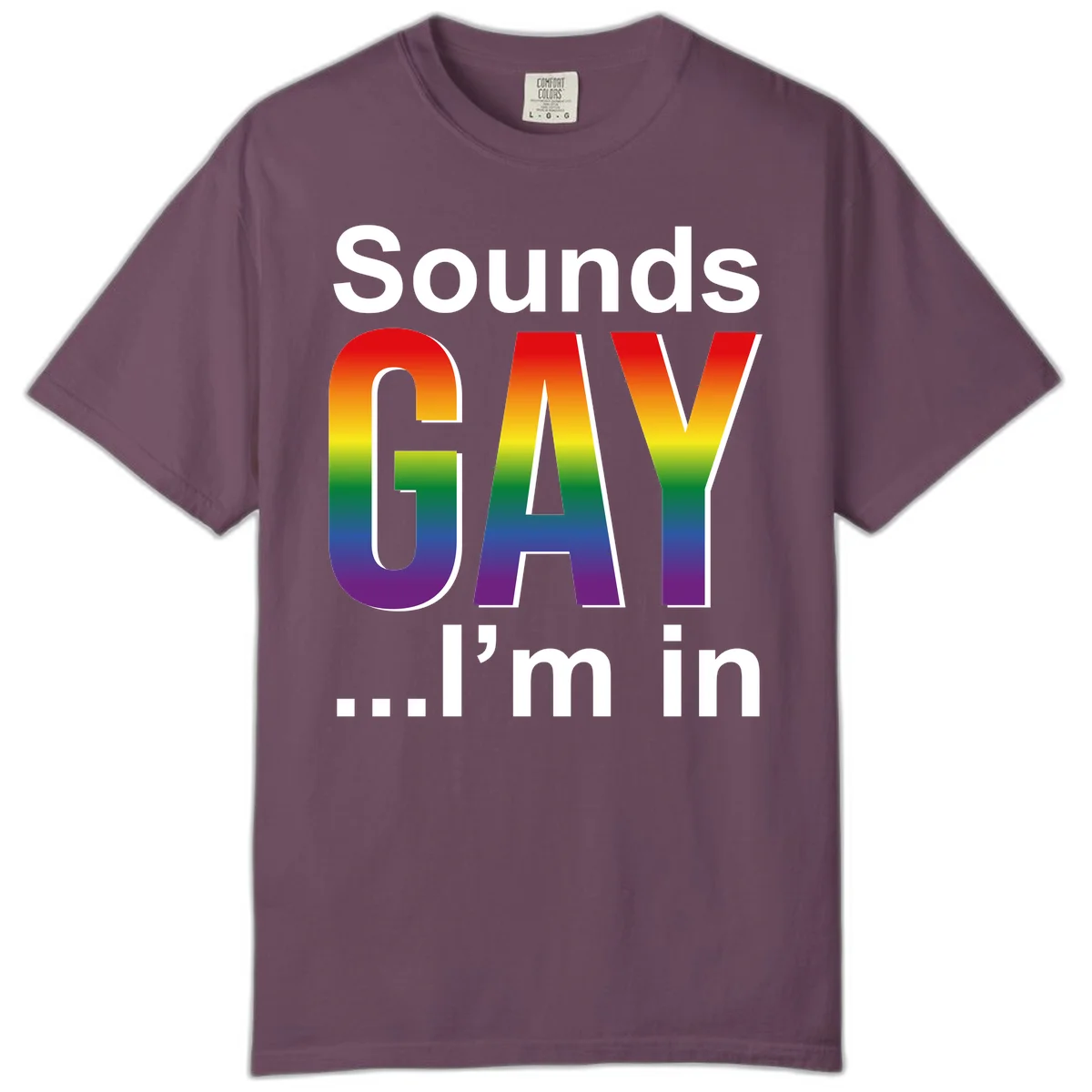 Sounds Gay I'm In design featuring large rainbow gradient letters spelling out the phrase against a gray background in Berry