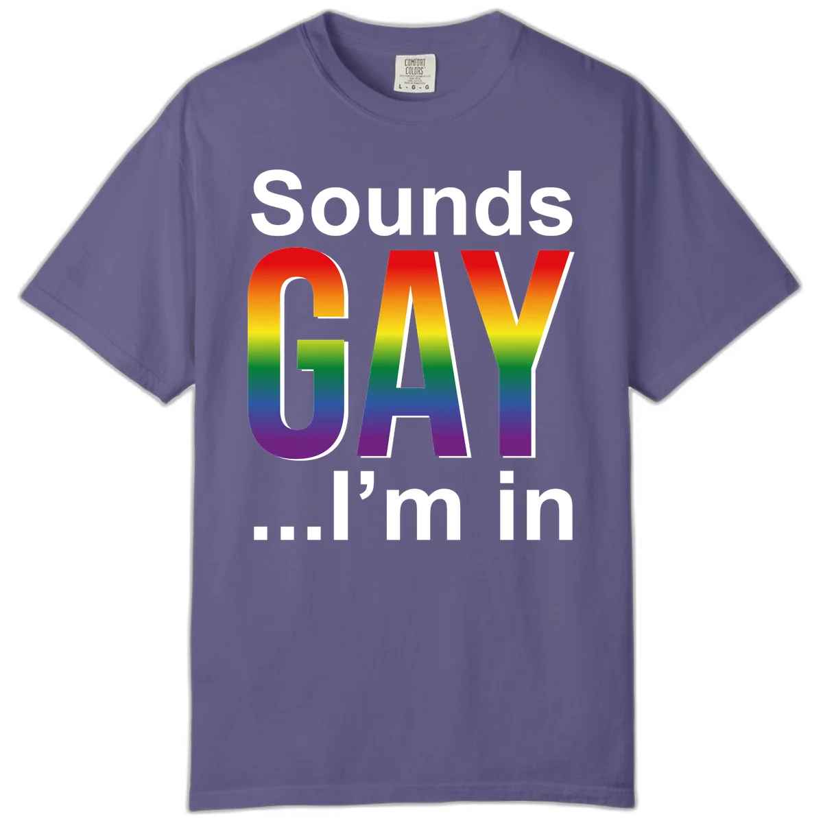 Sounds Gay I'm In design featuring large rainbow gradient letters spelling out the phrase against a gray background in Grape