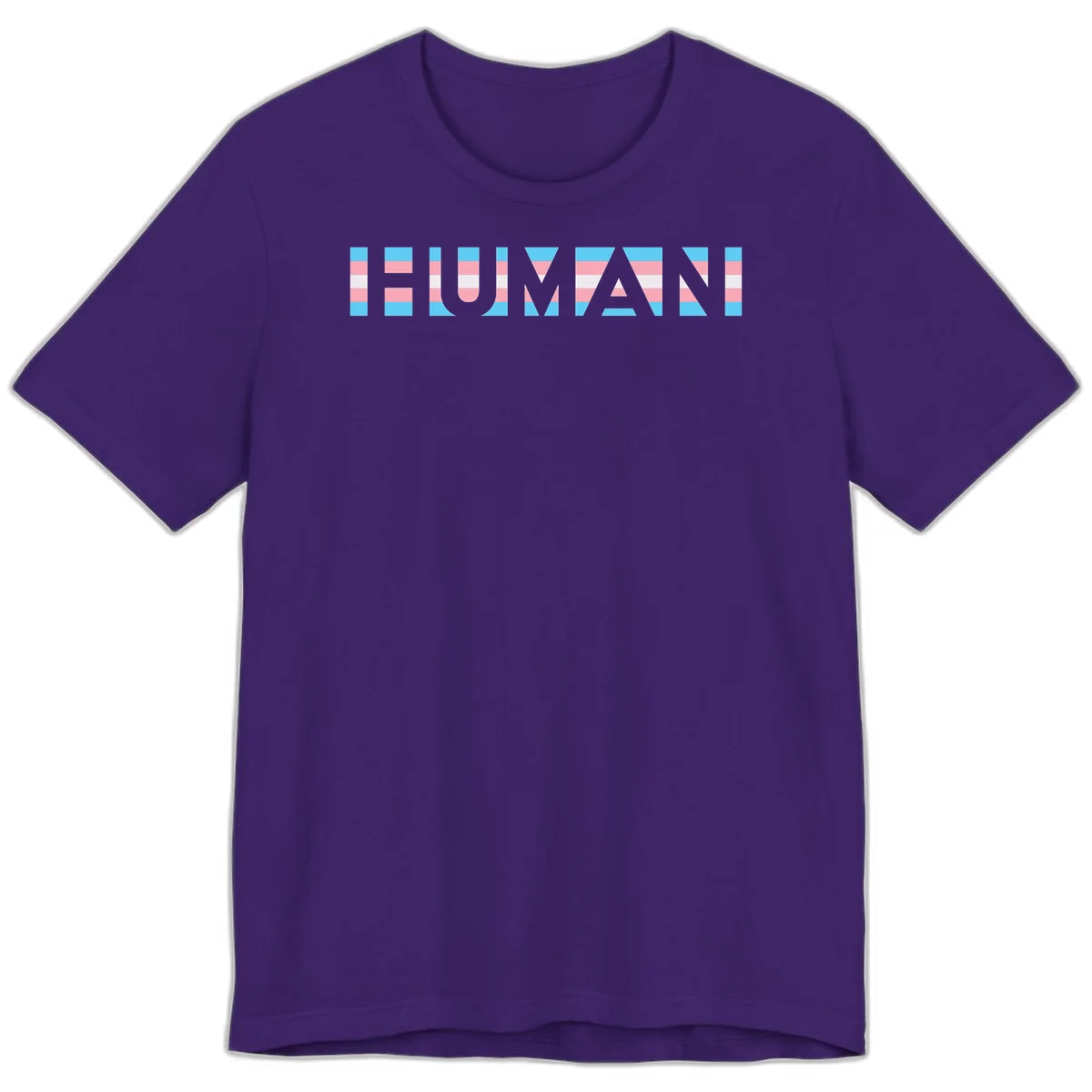 Large white letters spelling 'HUMAN' filled with horizontal blue, pink, and white stripes on gray background in Team Purple