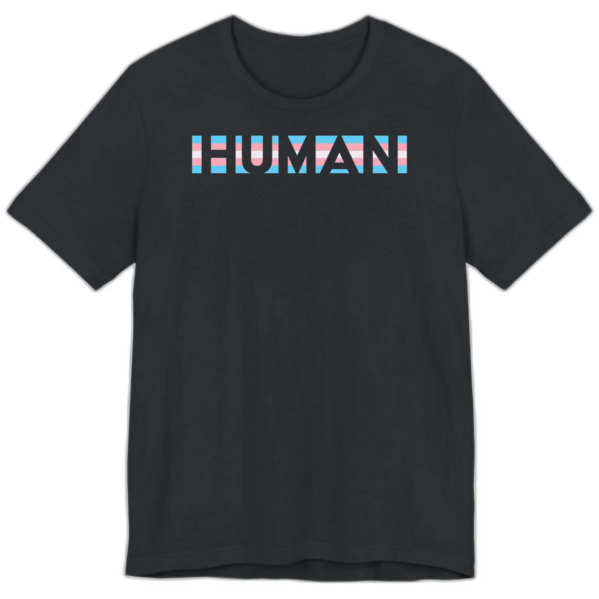 Large white letters spelling 'HUMAN' filled with horizontal blue, pink, and white stripes on gray background in Vintage Black