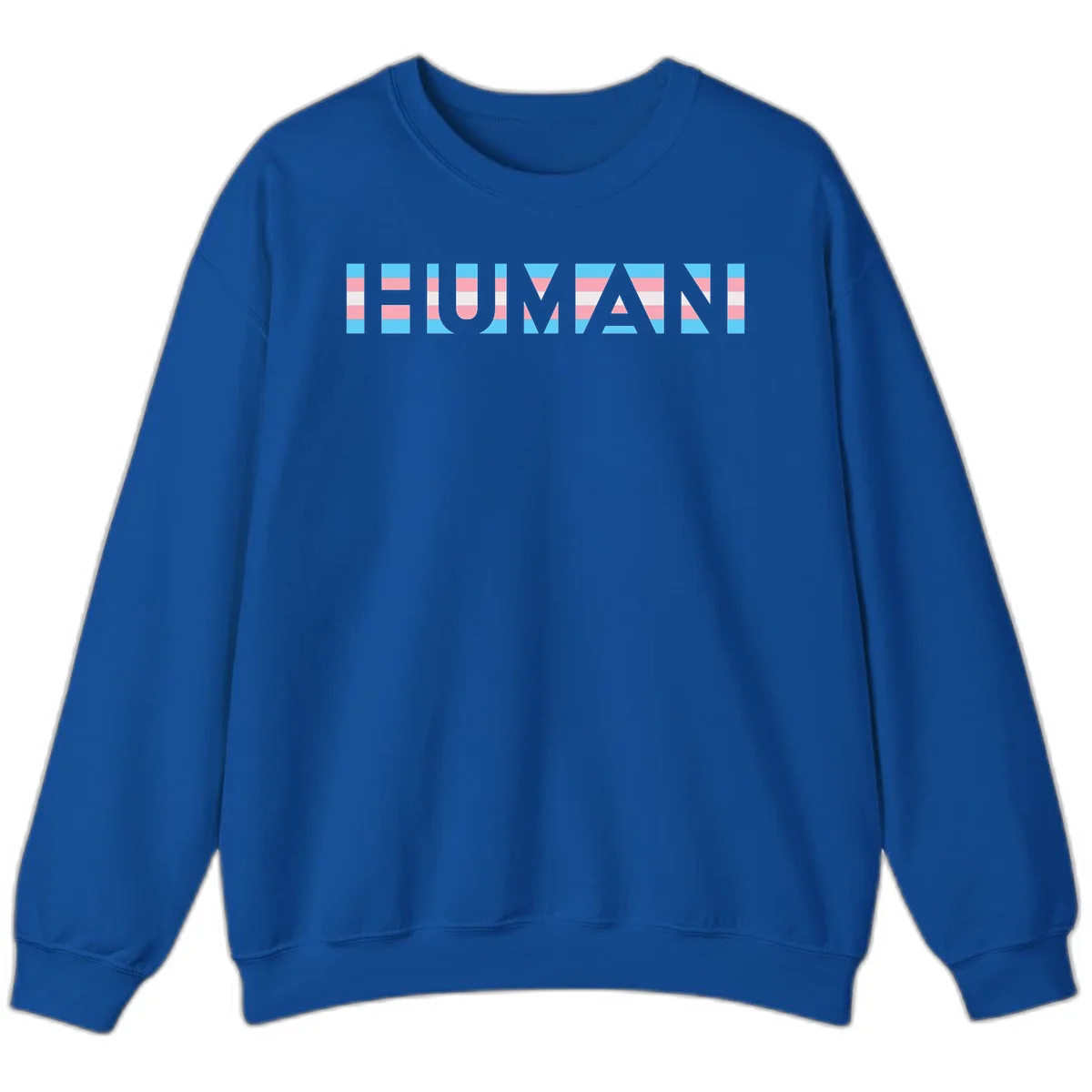 Large white letters spelling 'HUMAN' filled with horizontal blue, pink, and white stripes on gray background in Royal