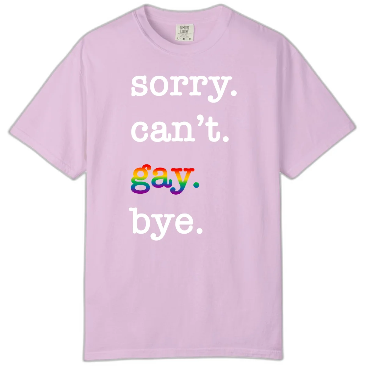 Gray background with white text reading 'Sorry can't say' and 'bye' with the word 'gay' in vibrant rainbow gradient colors, a playful pride celebration design. in Orchid