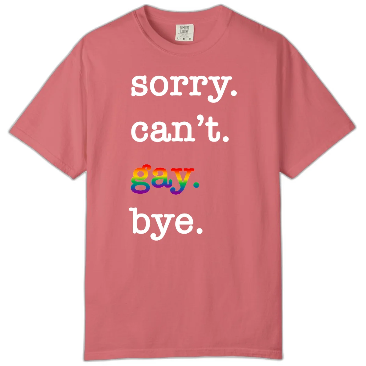 Gray background with white text reading 'Sorry can't say' and 'bye' with the word 'gay' in vibrant rainbow gradient colors, a playful pride celebration design. in Watermelon
