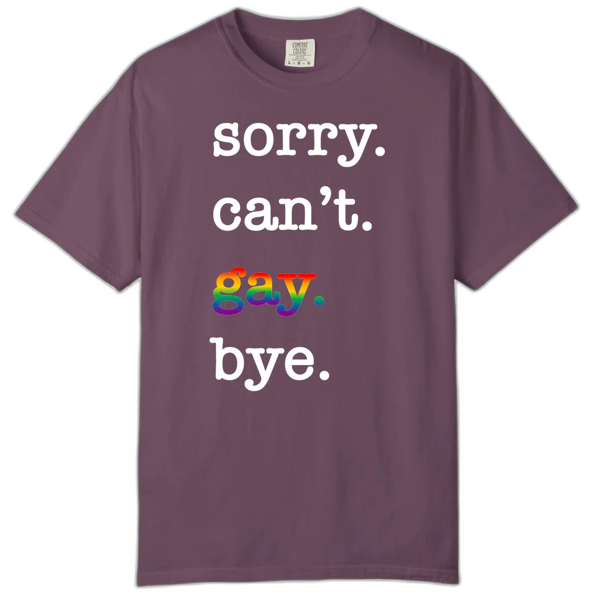 Gray background with white text reading 'Sorry can't say' and 'bye' with the word 'gay' in vibrant rainbow gradient colors, a playful pride celebration design. in Berry
