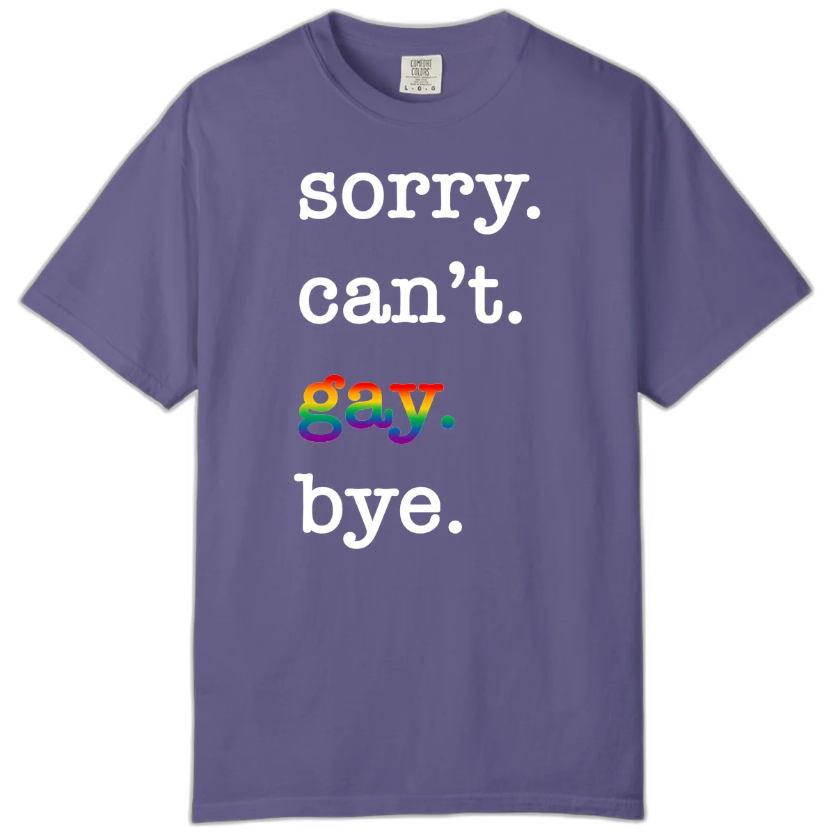 Gray background with white text reading 'Sorry can't say' and 'bye' with the word 'gay' in vibrant rainbow gradient colors, a playful pride celebration design. in Grape