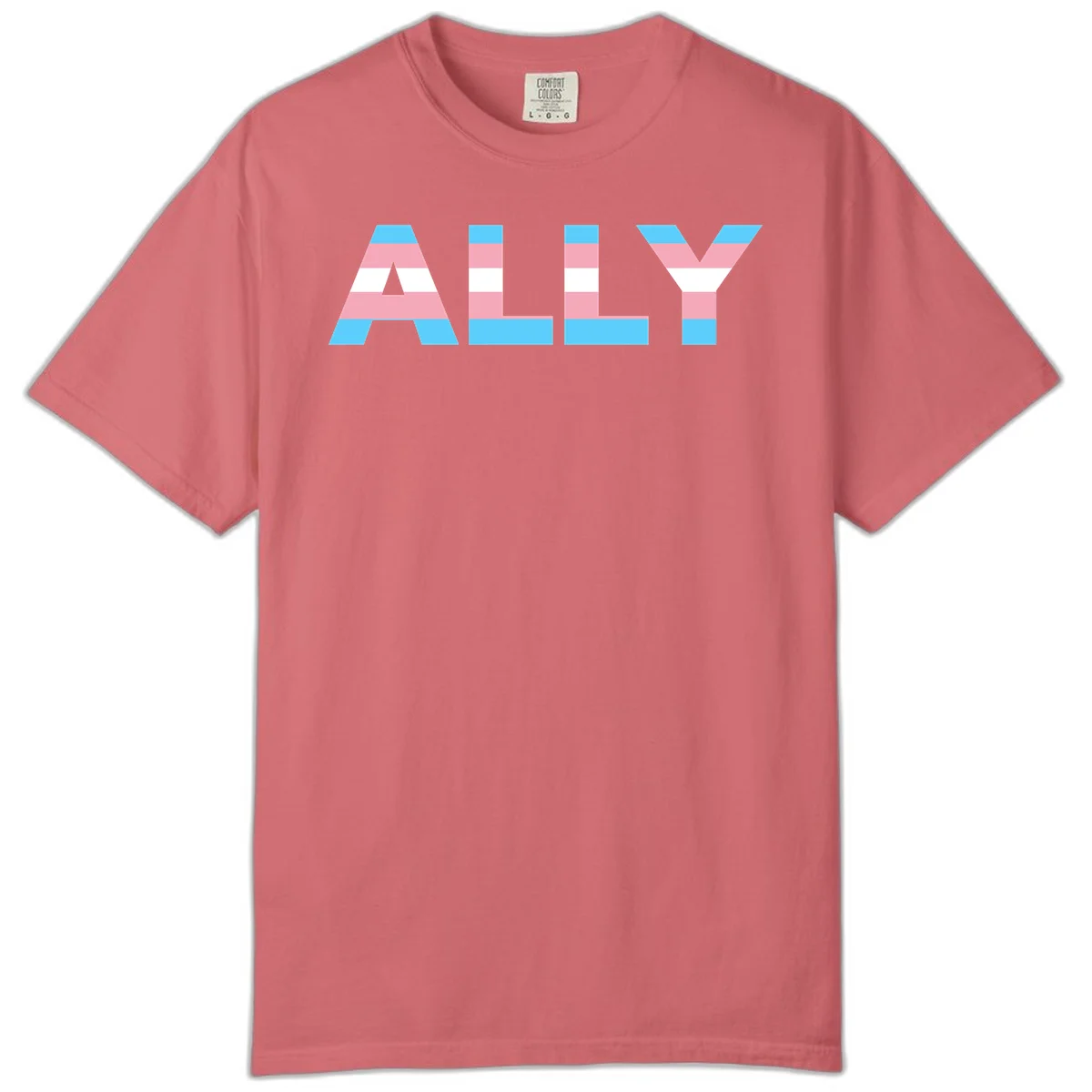 Trans pride flag colors in cyan, pink, and white horizontal stripes forming geometric letters spelling 'ALLY' in Watermelon