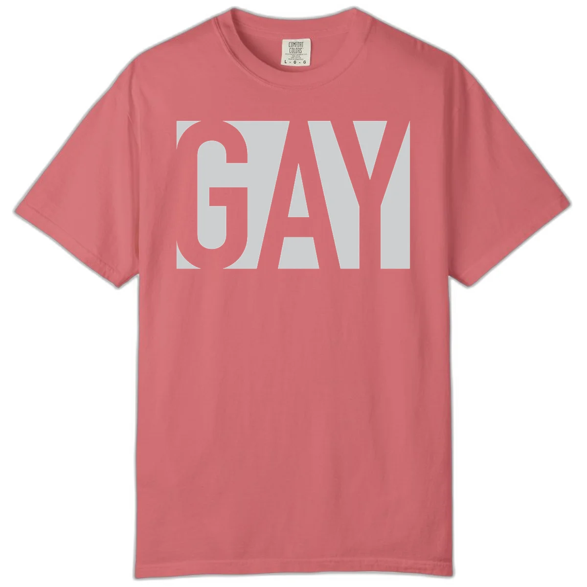Bold gray and white typography design with the word 'GAY' in large, thick sans-serif letters on a light background in Watermelon