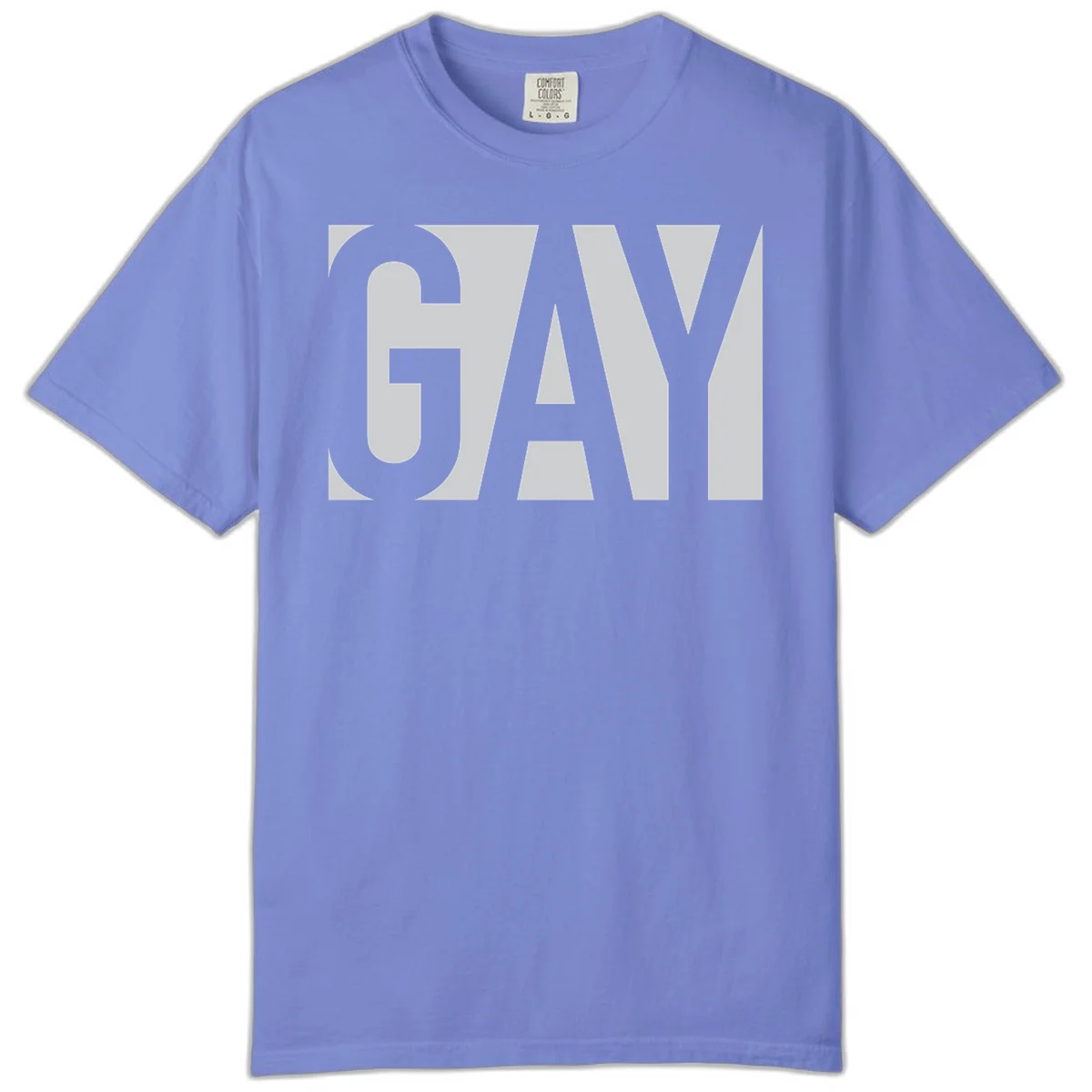 Bold gray and white typography design with the word 'GAY' in large, thick sans-serif letters on a light background in Flo Blue