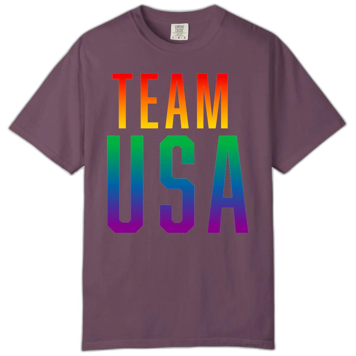 Team USA rainbow pride design with bold text gradient from red to purple representing LGBTQ+ flag colors in Berry