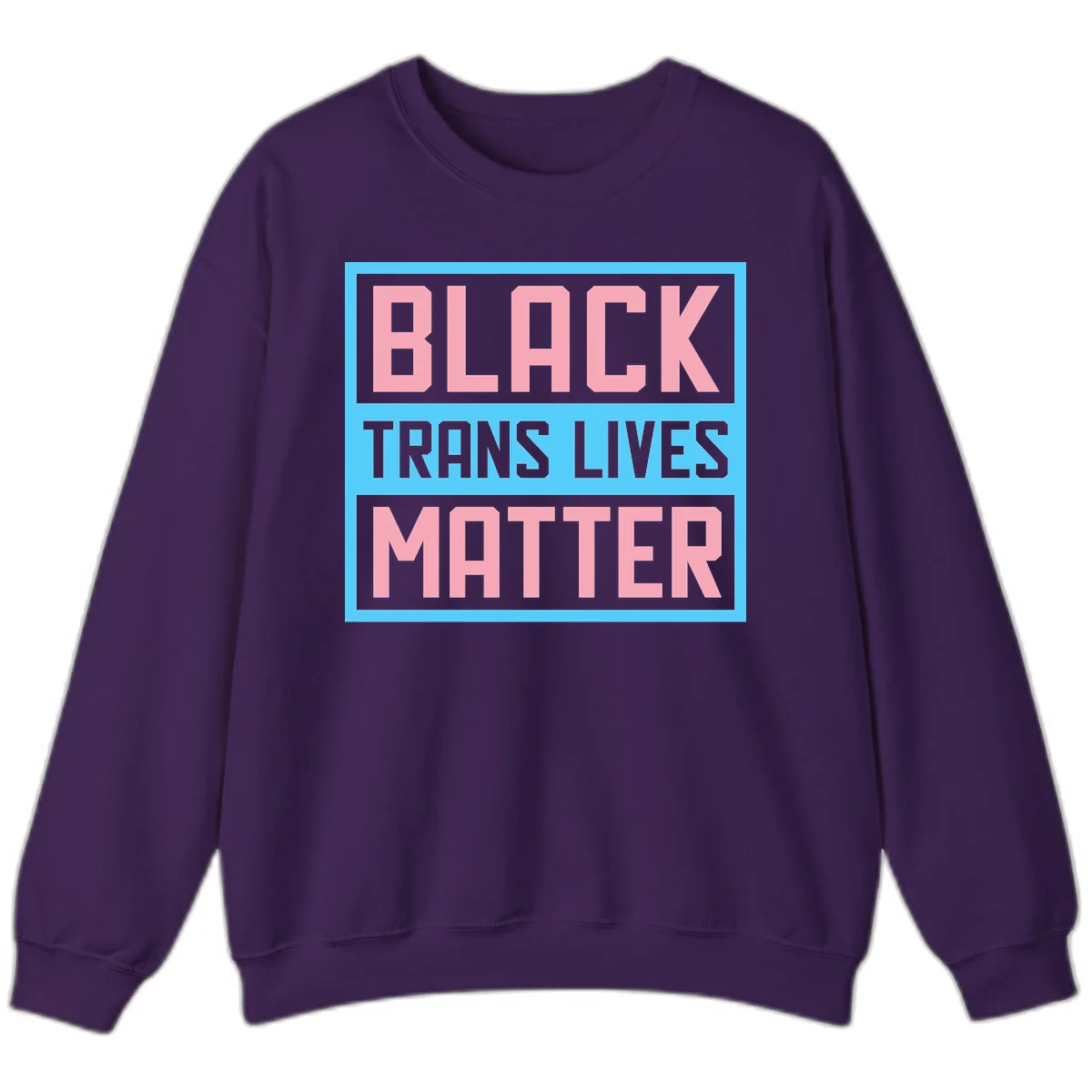 Bold pink block letters spelling 'BLACK TRANS LIVES MATTER' on light blue and gray background in Purple
