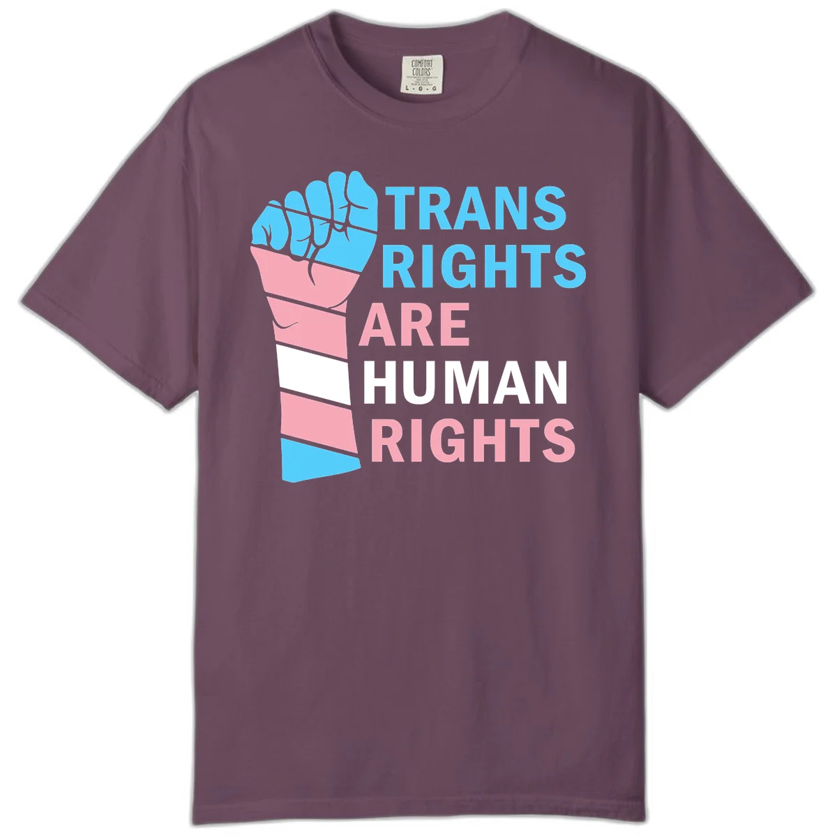 Raised fist in trans flag colors (blue, pink, white) with text 'Trans Rights Are Human Rights' promoting equality and pride in Berry