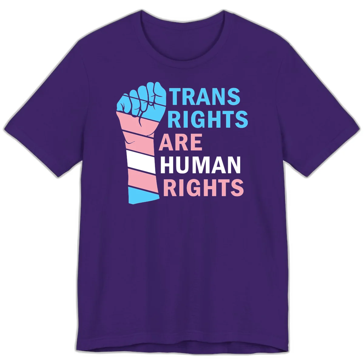 Raised fist in trans flag colors (blue, pink, white) with text 'Trans Rights Are Human Rights' promoting equality and pride in Team Purple