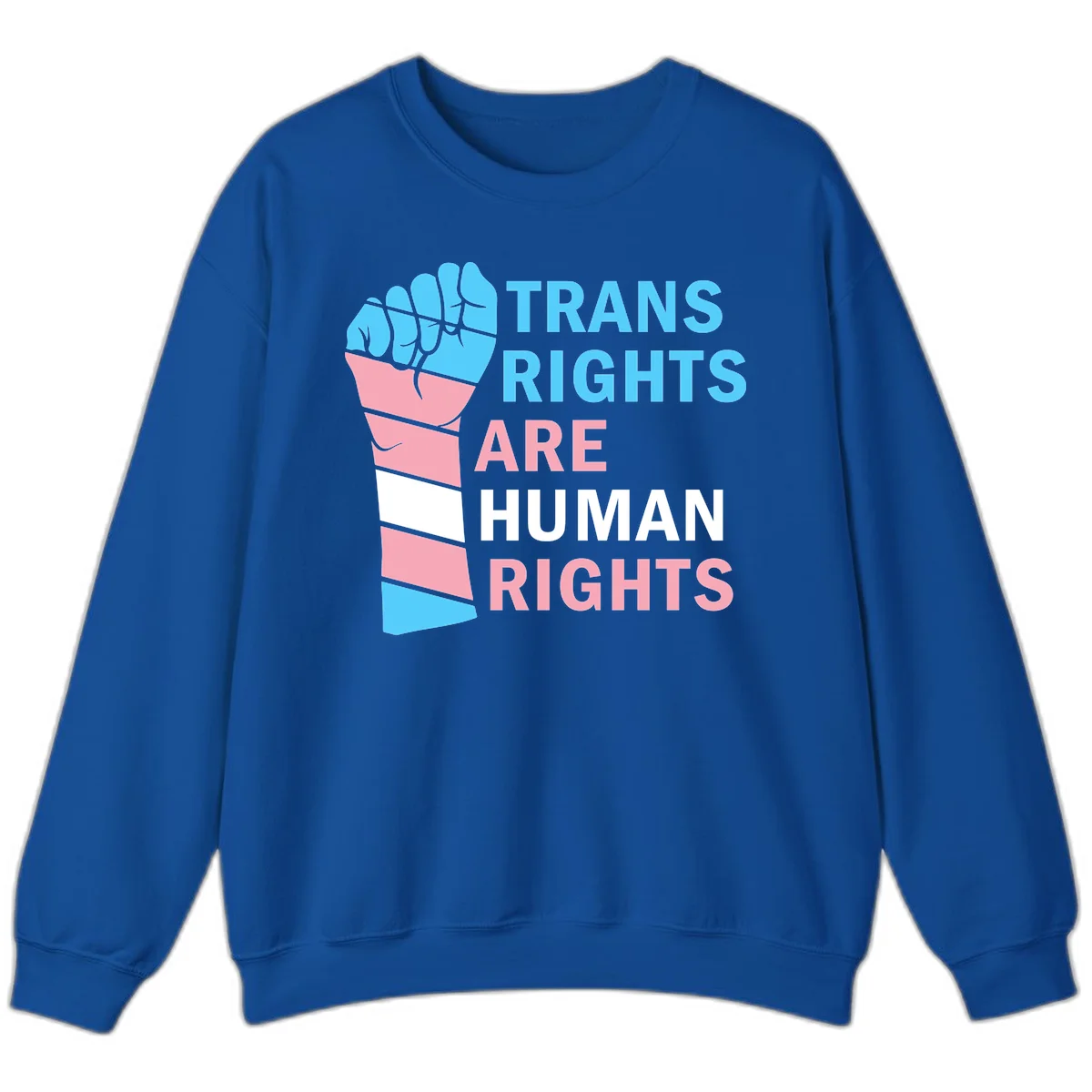 Raised fist in trans flag colors (blue, pink, white) with text 'Trans Rights Are Human Rights' promoting equality and pride in Royal