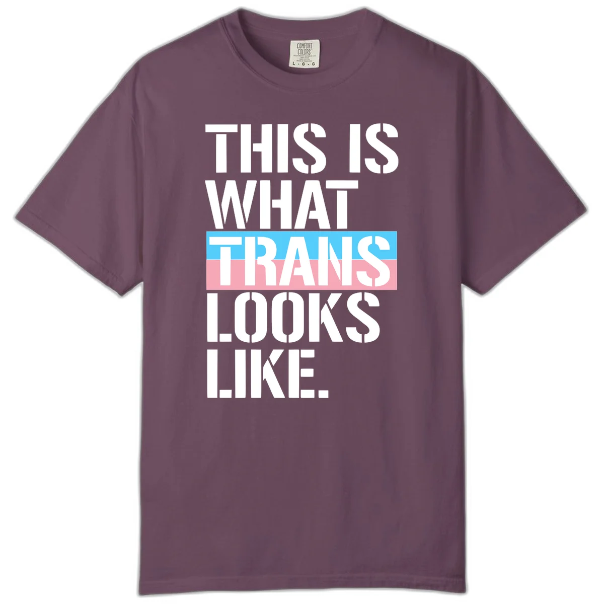 Bold typography design reading 'THIS IS WHAT TRANS LOOKS LIKE' with trans pride flag colors in blue and pink stripe in Berry