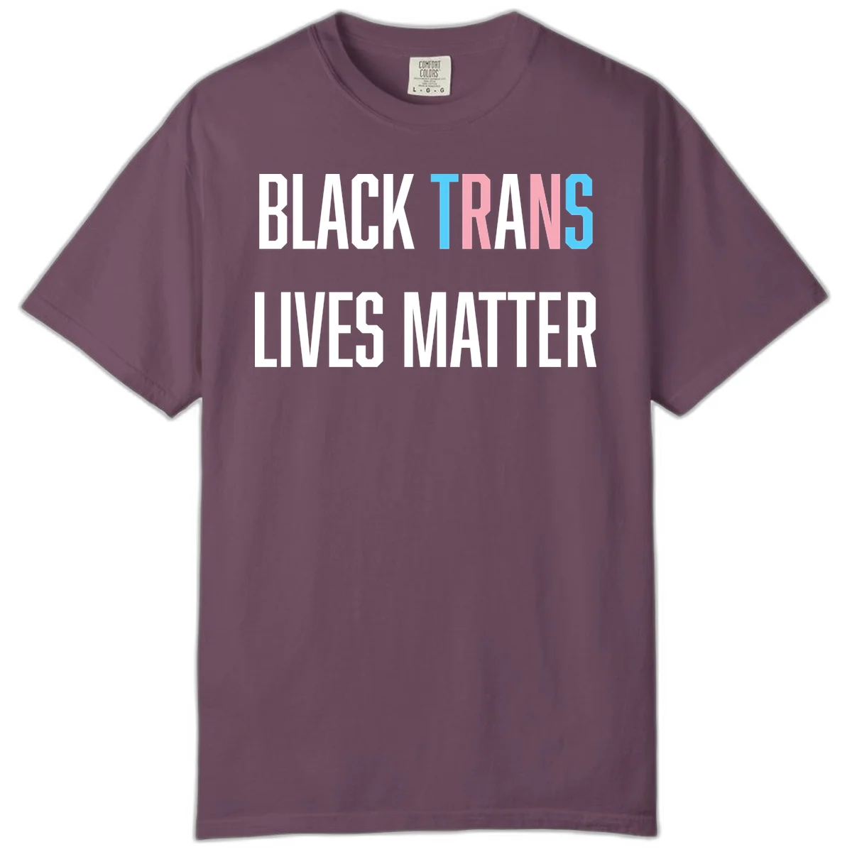 Bold typography design reading 'BLACK TRANS LIVES MATTER' with 'TRANS' in pink and cyan pride colors on gray background in Berry