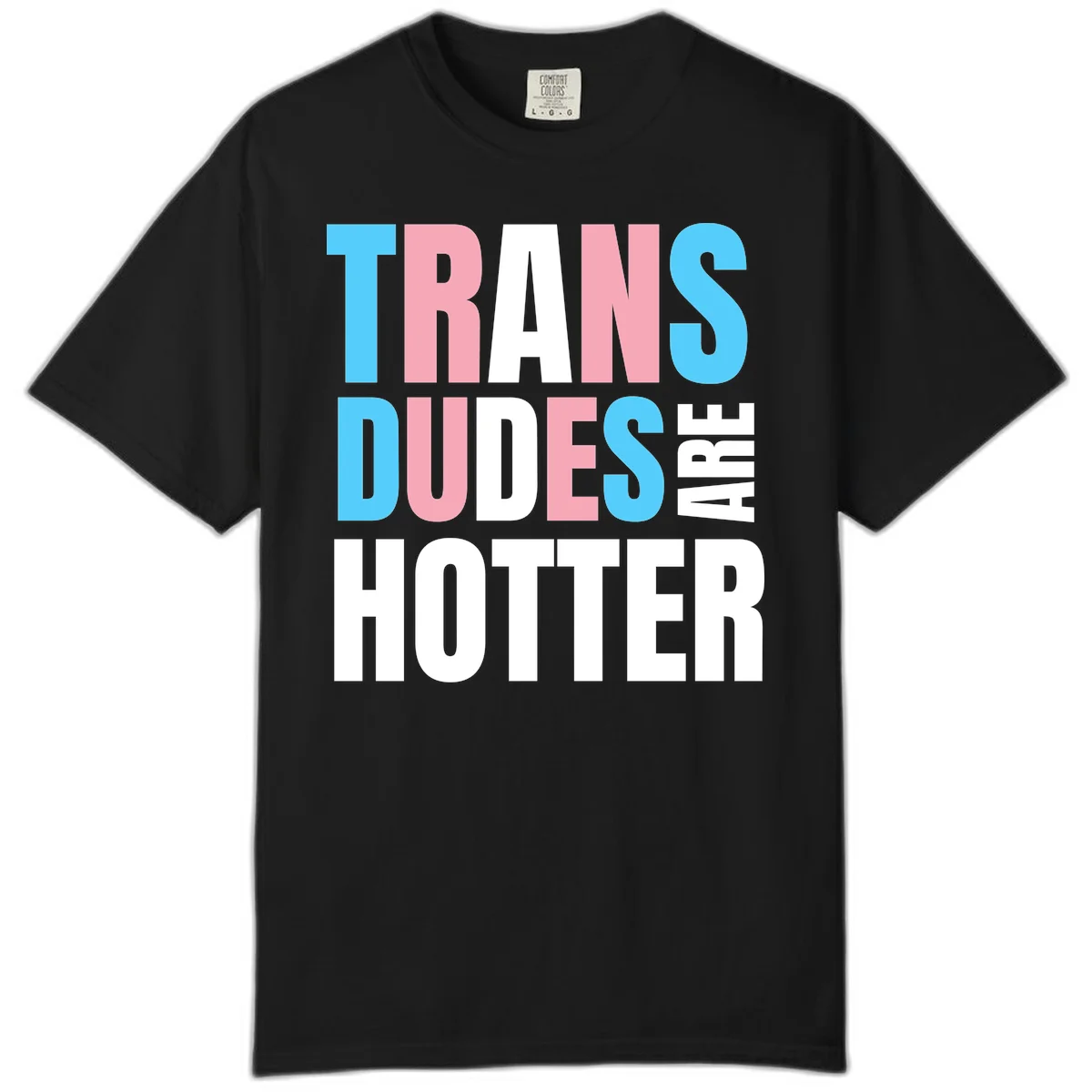 Bold typography design reading 'TRANS DUDES ARE HOTTER' in cyan, pink, and white letters on gray background in Black