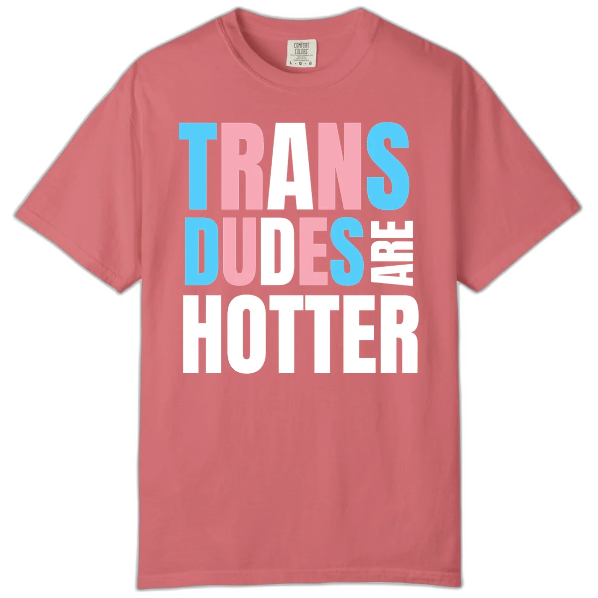Bold typography design reading 'TRANS DUDES ARE HOTTER' in cyan, pink, and white letters on gray background in Watermelon