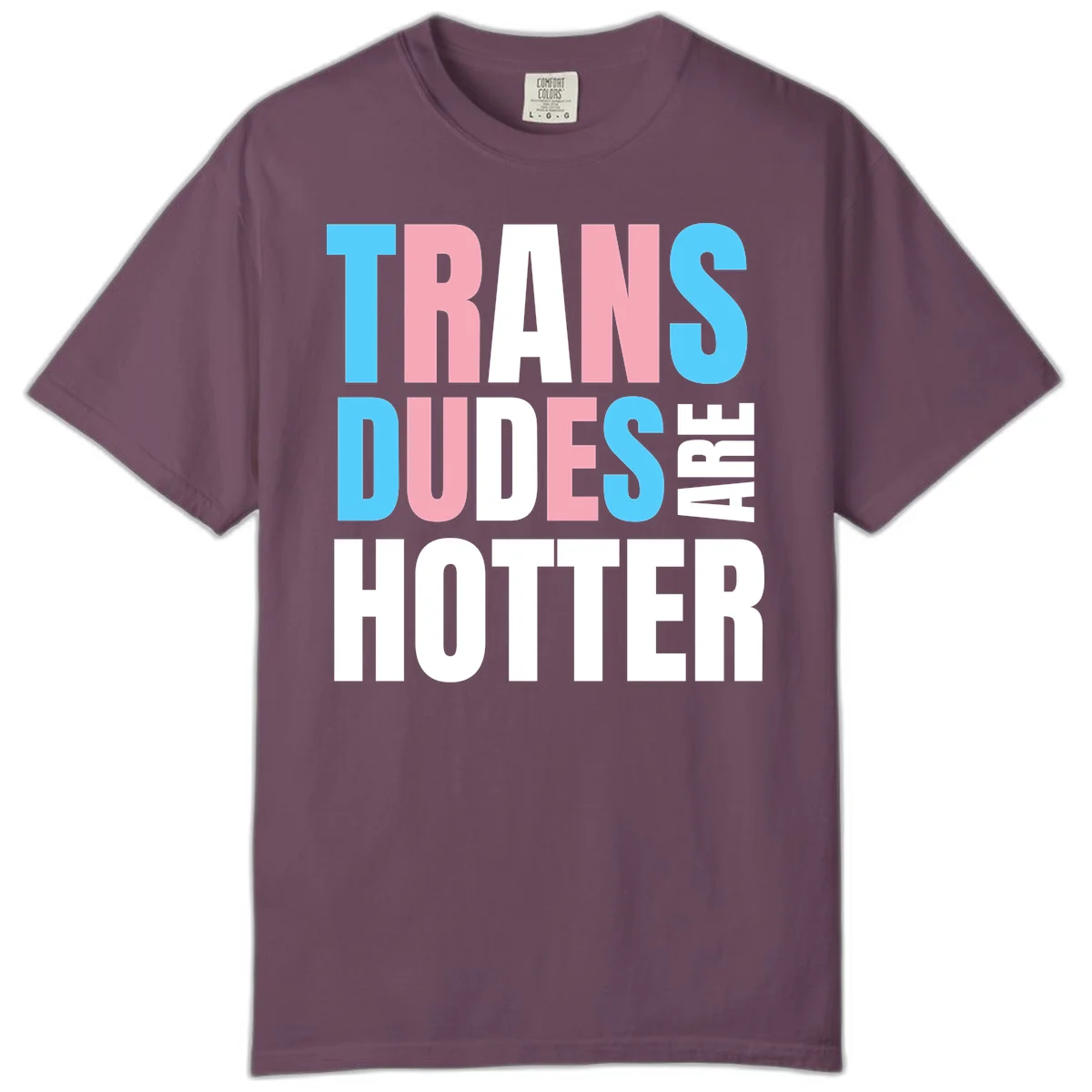 Bold typography design reading 'TRANS DUDES ARE HOTTER' in cyan, pink, and white letters on gray background in Berry