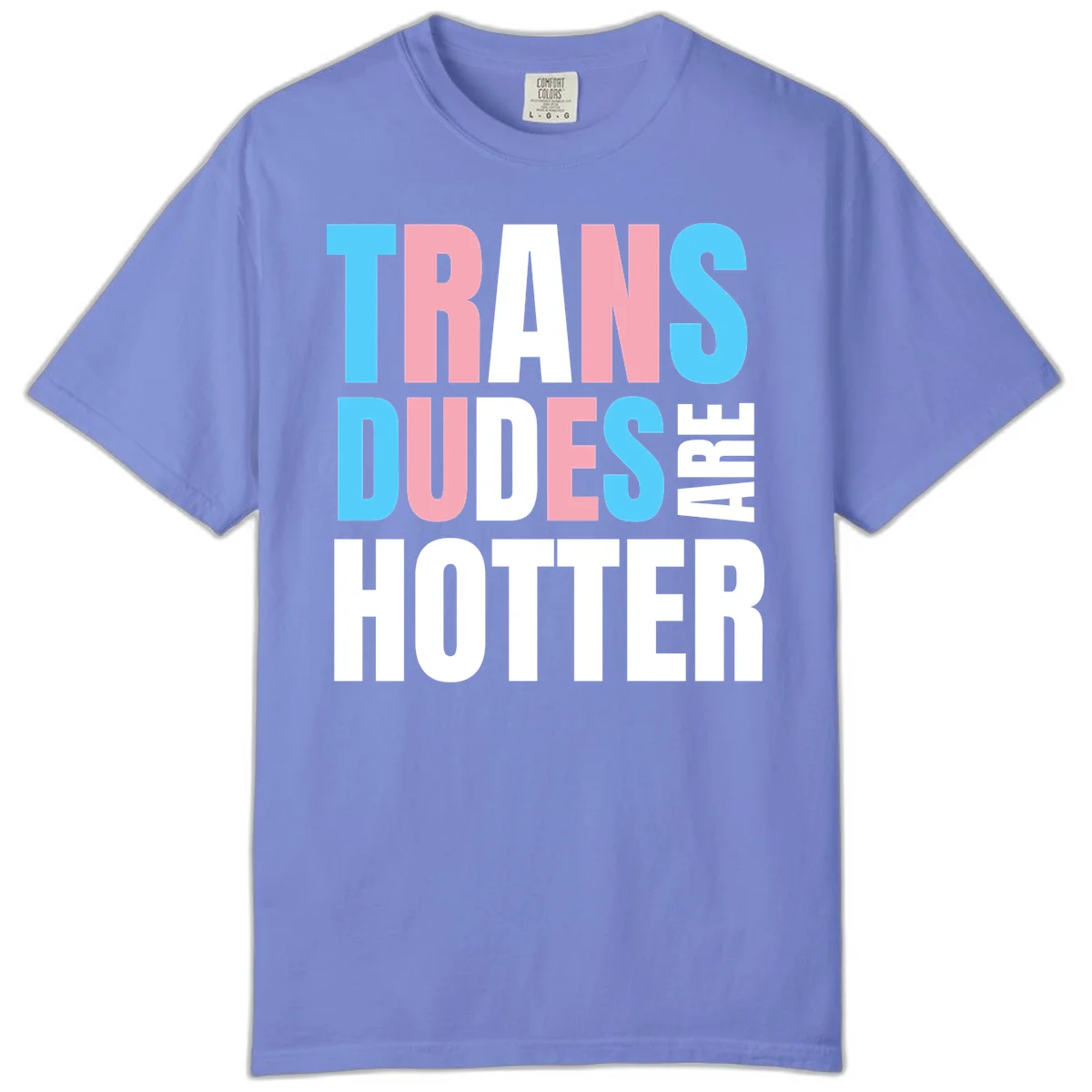 Bold typography design reading 'TRANS DUDES ARE HOTTER' in cyan, pink, and white letters on gray background in Flo Blue