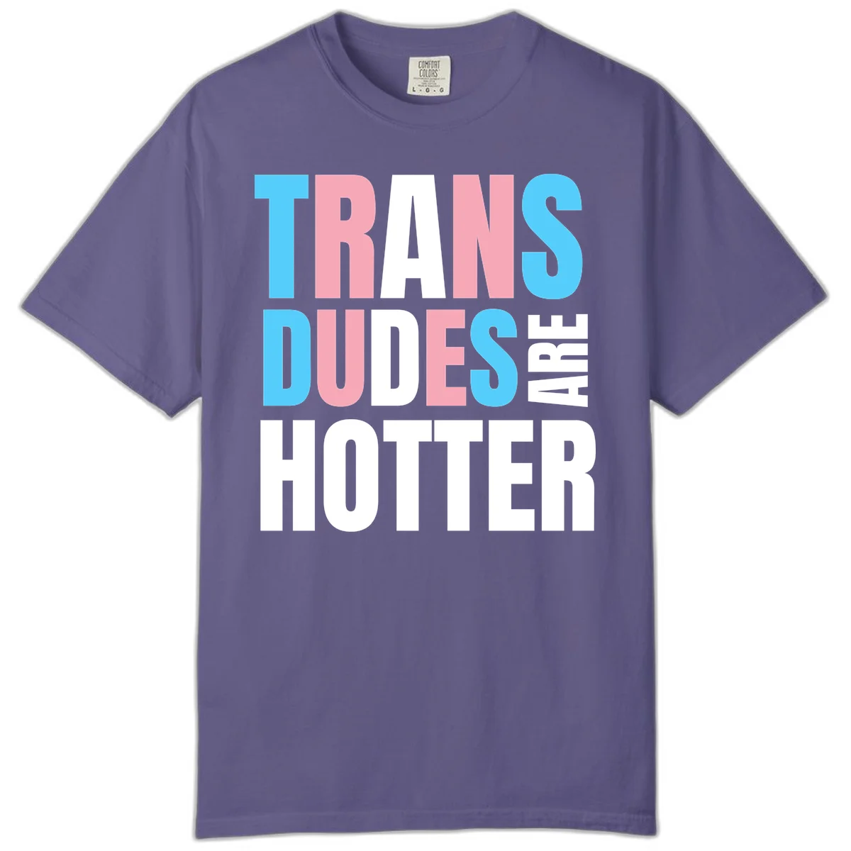 Bold typography design reading 'TRANS DUDES ARE HOTTER' in cyan, pink, and white letters on gray background in Grape
