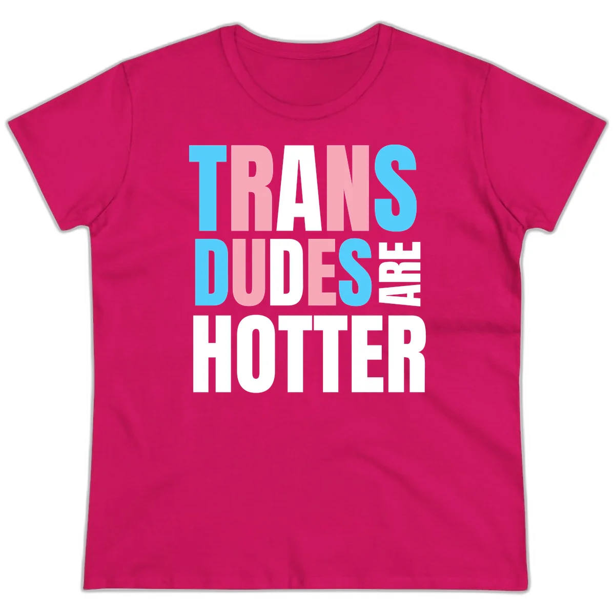Bold typography design reading 'TRANS DUDES ARE HOTTER' in cyan, pink, and white letters on gray background in Heliconia