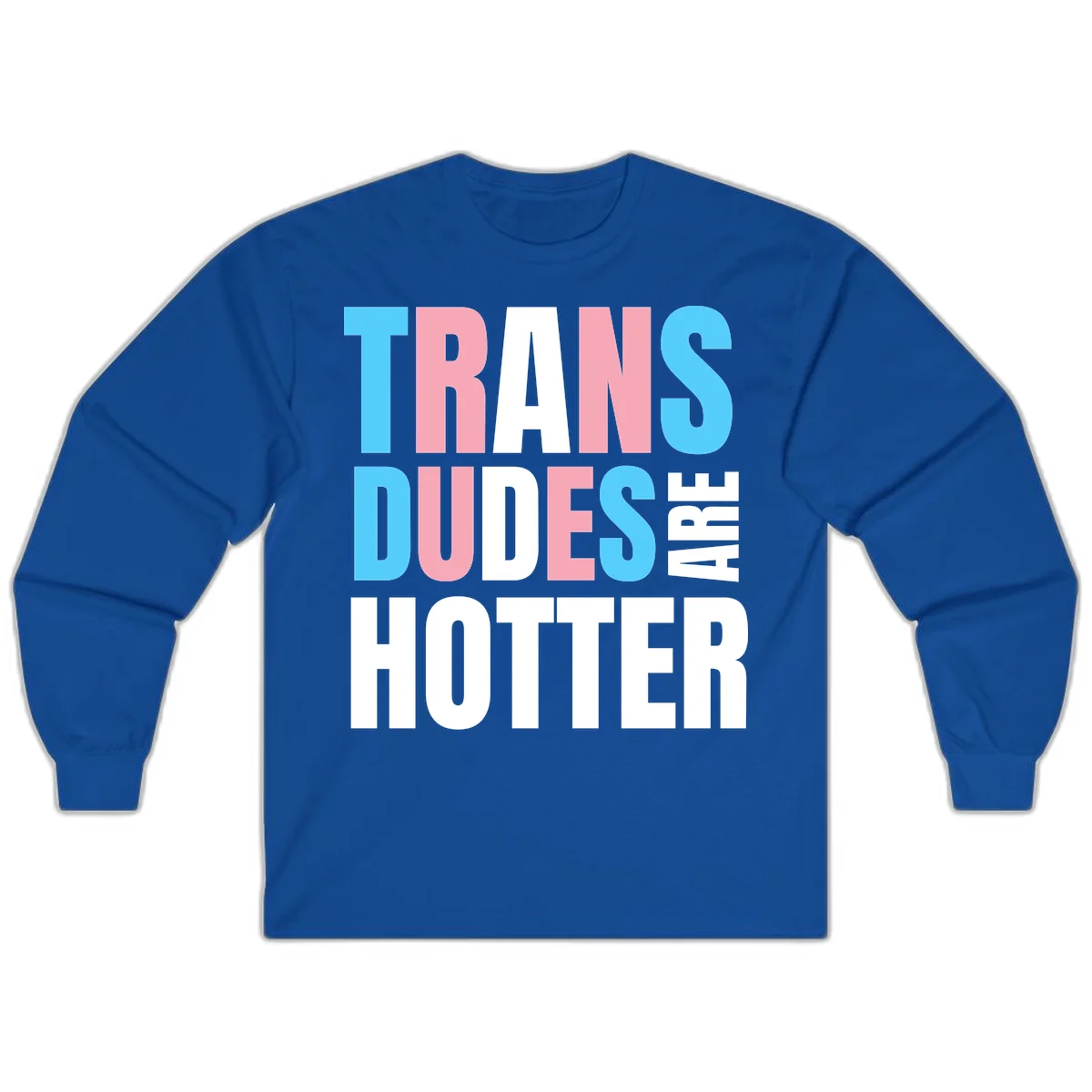 Bold typography design reading 'TRANS DUDES ARE HOTTER' in cyan, pink, and white letters on gray background in Royal