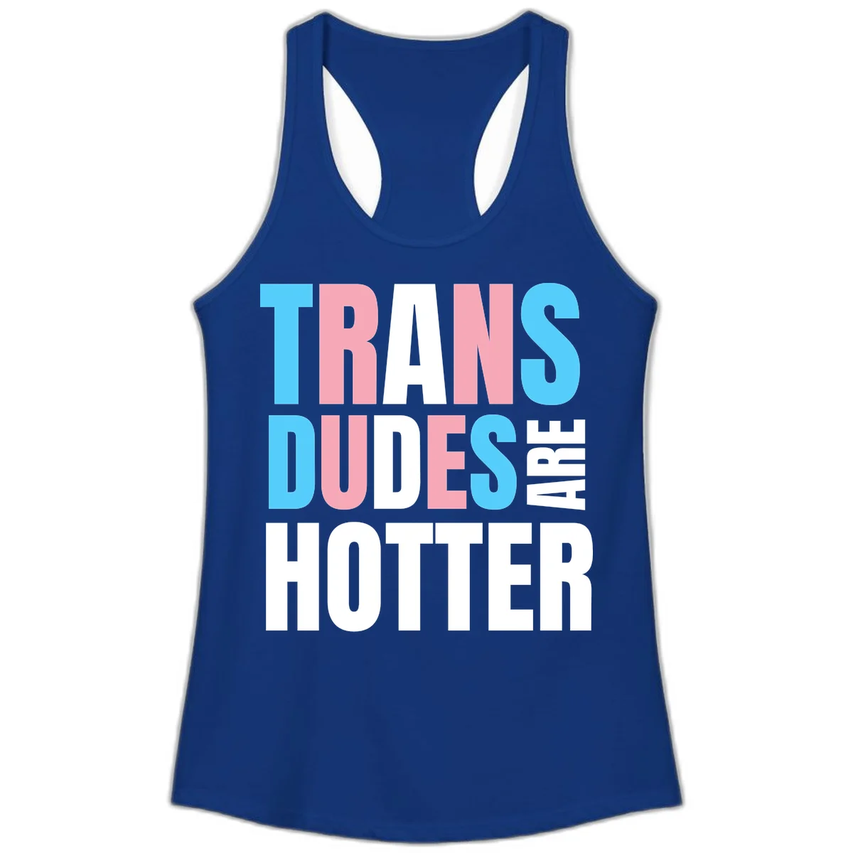 Bold typography design reading 'TRANS DUDES ARE HOTTER' in cyan, pink, and white letters on gray background in Solid Royal