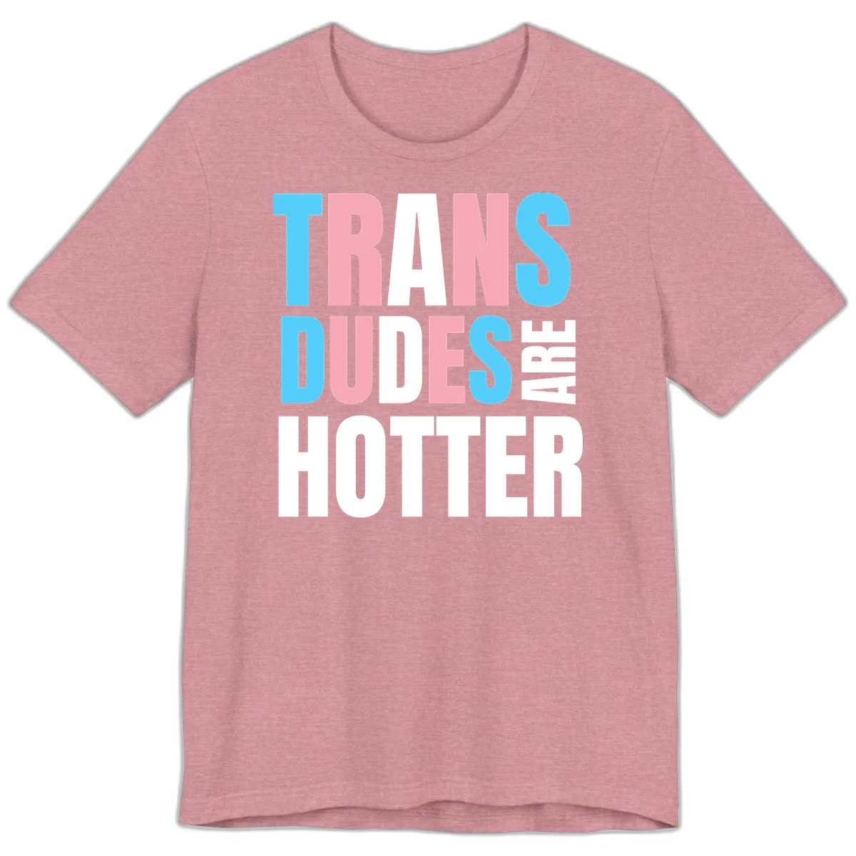 Bold typography design reading 'TRANS DUDES ARE HOTTER' in cyan, pink, and white letters on gray background in Heather Orchid