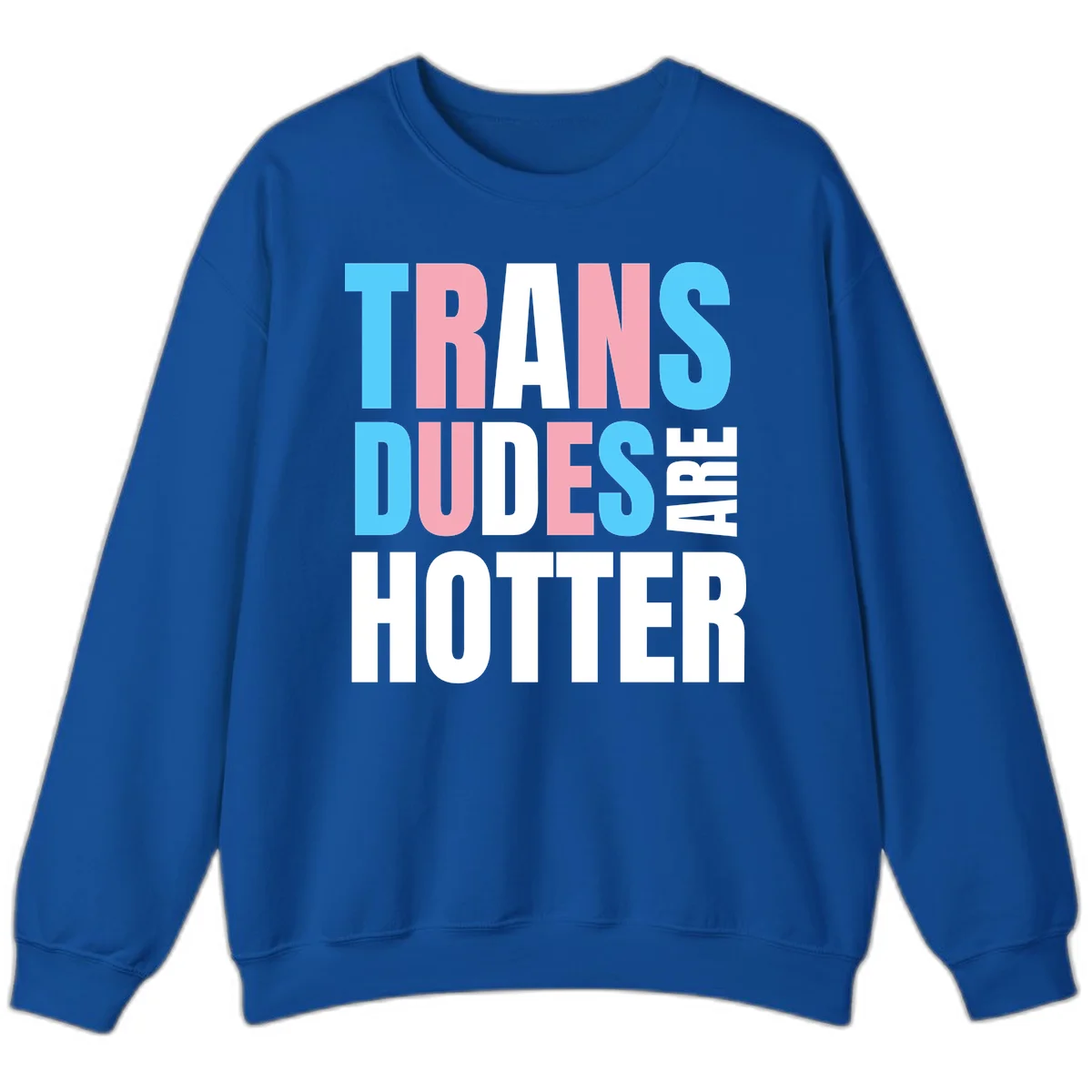 Bold typography design reading 'TRANS DUDES ARE HOTTER' in cyan, pink, and white letters on gray background in Royal