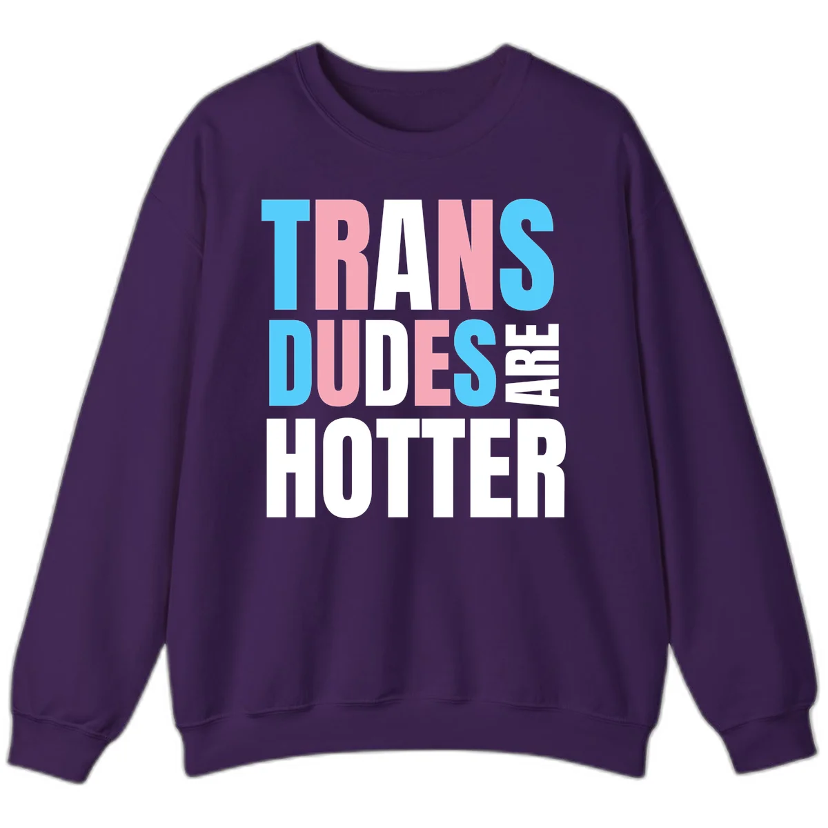 Bold typography design reading 'TRANS DUDES ARE HOTTER' in cyan, pink, and white letters on gray background in Purple