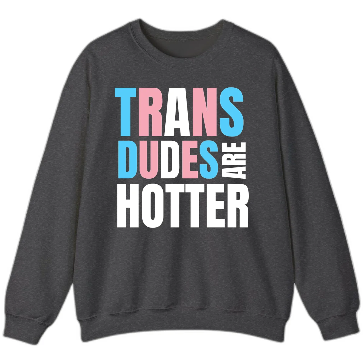 Bold typography design reading 'TRANS DUDES ARE HOTTER' in cyan, pink, and white letters on gray background in Dark Heather